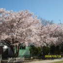 신시도초등학교 이미지