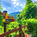 청도자연휴양림 이미지