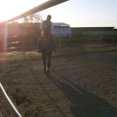 경주목장 이미지