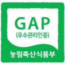 GAP. 단감대봉판매합니다 이미지