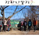 고비고개정상 Daum카페