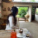 백마카인테리어 | 2025 돌하루팡보다 저렴한 제주 렌트카 가격 비교 사이트 마이리얼트립