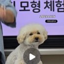 하북초등학교 이미지