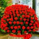 퓨전장구(가요난타) 이미지