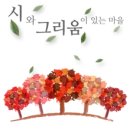 내가 자주가는