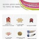 소나무향기태권도장(수양) 이미지