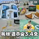 경주숲 3,4 | 경주 독채 풀빌라 프라이빗한 감성 숙소 경주숲3,4