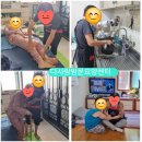 다사랑세탁 이미지