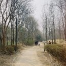 시민의숲산책로1-21 이미지