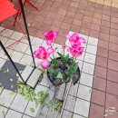 용산파트너공인중개사사무소 이미지