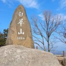 대림아파트 앞 삼거리 이미지