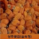 상주달구나곶감&와송나라