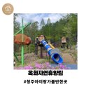 무지개동산 세미나실 | 청주 아이랑 가볼 만한 곳: &lt;옥화자연휴양림&gt; 숲해설가와 함께하는 숲 체험 교육, 숲 놀이터