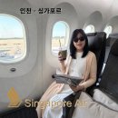 싱가포르 항공 인천 싱가포르 구간, 기내식 좌석지정 마일리지 수하물 후기