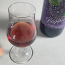 선데이브런치24 이미지
