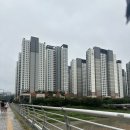 CU이편한세상 | 삼송 포케 맛집 슬로우캘리 고양스타필드 연어스테이크 후기