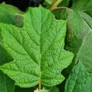 구암동112 이미지