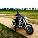 봉황중학교 이미지