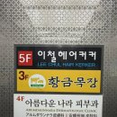 조아헤어샵 | 을지로 헤어샵 ㅣ 이철헤어커커 명동2호점 효림실장님 젤리펌 솔직후기