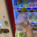 후쿠오카 여행 후기(1) | PARCO 백화점, 타워레코드, 모츠나베 이치후지 텐진, 돈키호테