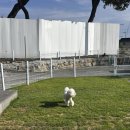 오늘도 너와 | 경주 애견동반 펜션 오늘도 너와, 방 하나 내돈내산 후기