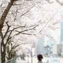 구갈레스피아 이미지