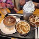 더스테이 골드독 이미지