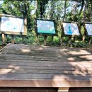 옥녀봉공원 이미지