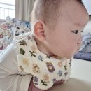 골든스푼 | 부터 먹인 "루비락" 분유 후기! 루비락 정보 A~Z까지...방법 / 루비락 작은 스푼 주문방법 /루비락 핫딜)