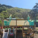 홍천군 산림조합 | 홍천 캠핑 캠프어라운드, 알려지지 않은 계곡 캠핑장의 진짜 매력