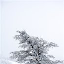 성철목장 이미지