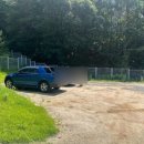 팔봉수피아 이미지