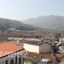 풍기장수인삼마을