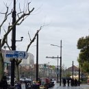 (주)미래이씨피 지점 | 2일차 여행코스 | 대한민국임시정부·신천지·타오타오주·POLUX·티엔즈팡·칭즈·주광옥훠궈·와이탄야경