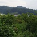 해망산농장 이미지