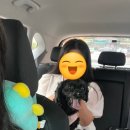 멍퍼피 이미지