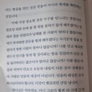 믿음상례