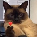 수원-0728 이미지