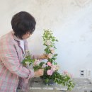 꽃꽂이 초.중급 이미지