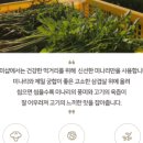 일미정육점 이미지