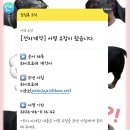 순수헤어포레 | 웨딩💍)본식스냅 ‘화이트포레’ 계약 후기 (짝꿍할인코드있음!)