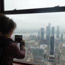 대륙통상 | 미국 메이저리그 직관 MLB 뉴욕 메츠 야구장 후기