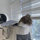 수현동물병원 이미지