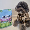 동아원 | 입짧은 강아지 추천 작은알갱이에 기호성 좋은 '대즐' 강아지 사료 급여후기