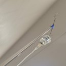 강정카센타 | 2026년 세번째 일기