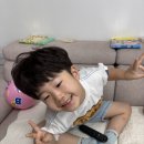 솔잎반 이든이의 제주도 여름휴가❤️ 이미지