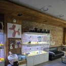 펫퍼스트 24시 강아지분양 고양이분양 이미지