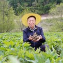 광동제약 이미지