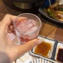 럭셔리 | 원주 혁신도시 맛집 이정원참치본점 럭셔리 코스 후기