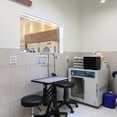 헬로멍멍